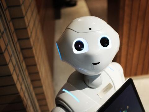 bots conversacionales