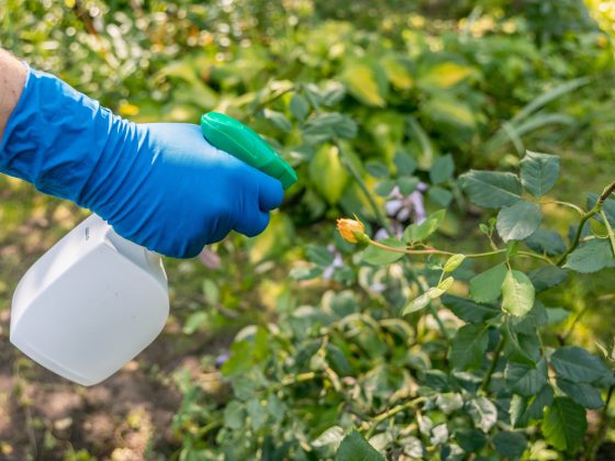 Biocidas tipos y métodos de lucha