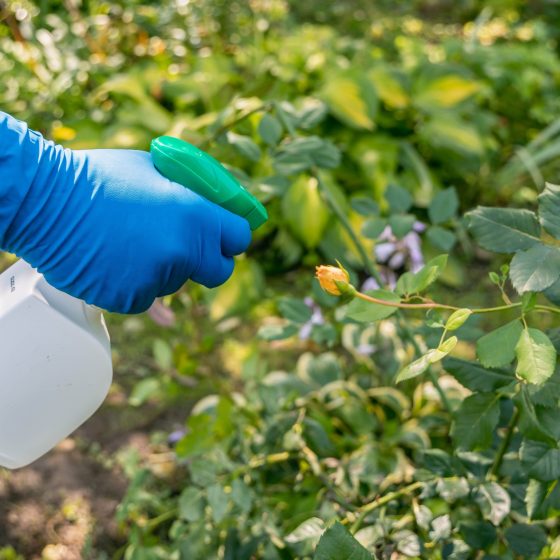 Biocidas tipos y métodos de lucha