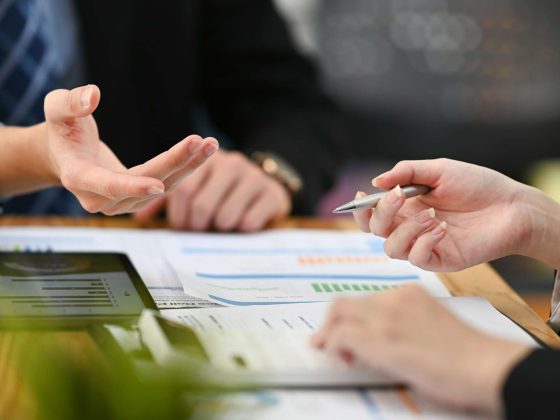 Creación y mantenimiento de componentes software en sistemas de planificación de recursos empresariales y de gestión de relaciones con clientes.